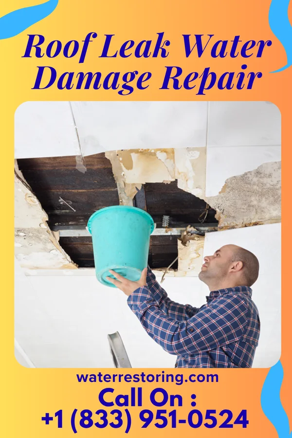 Roof Leak Water Damage Repair in University Park, TX